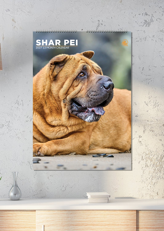Shar Pei - A3 Calendar 2027
