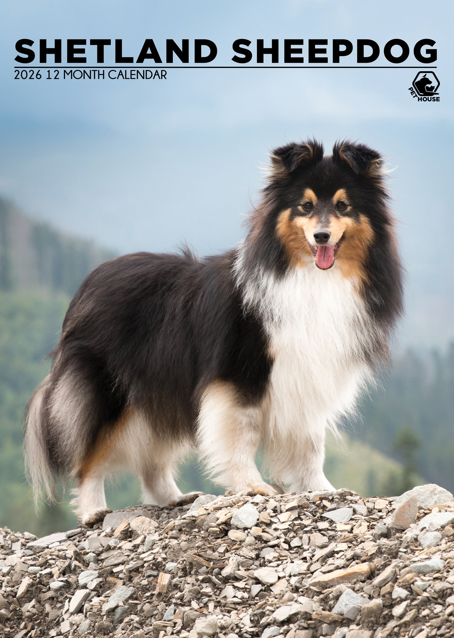 Shetland Sheepdog - A3 Calendar 2026