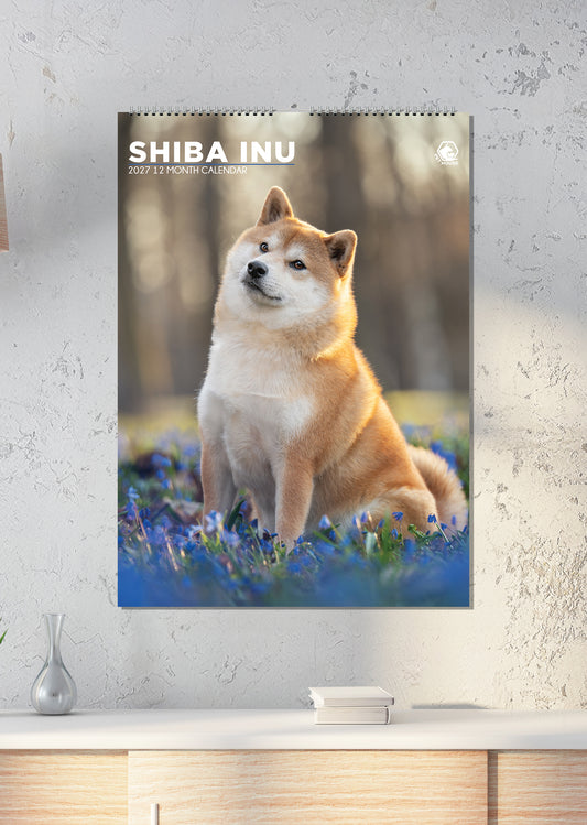 Shiba Inu - A3 Calendar 2027