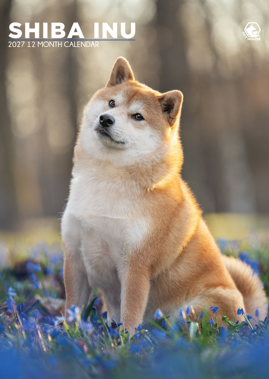 Shiba Inu - A3 Calendar 2027