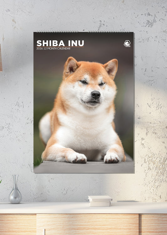 Shiba Inu - A3 Calendar 2026