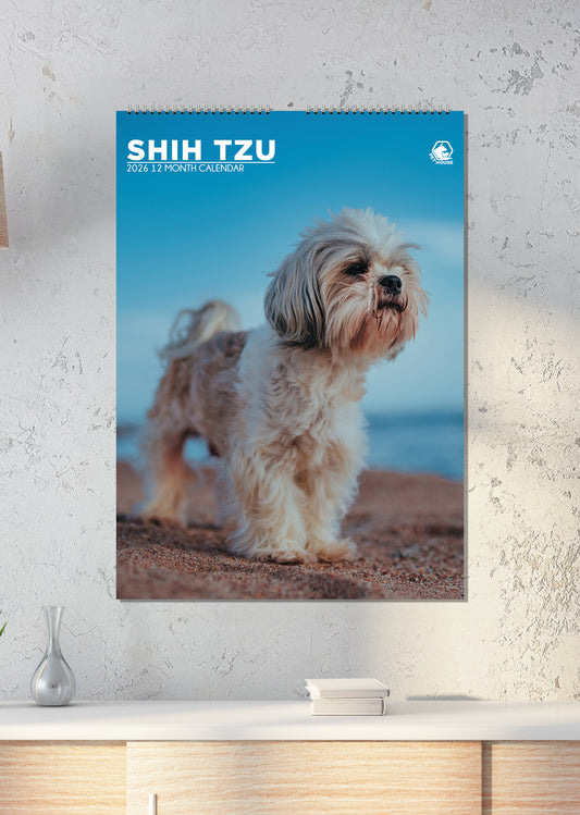 Shih Tzu - A3 Calendar 2026