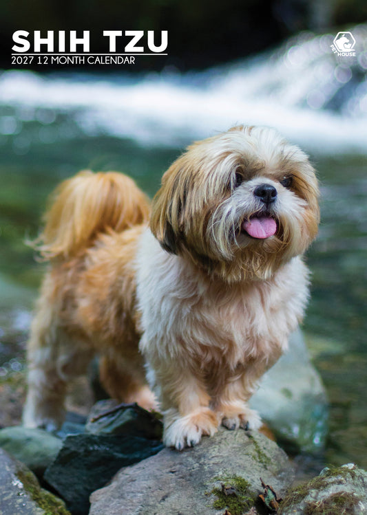 Shih Tzu - A3 Calendar 2027