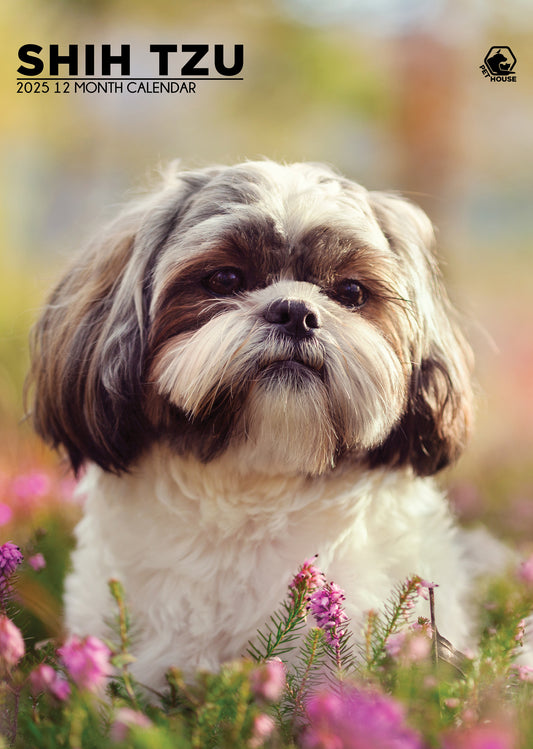 Shih Tzu Calendar 2025