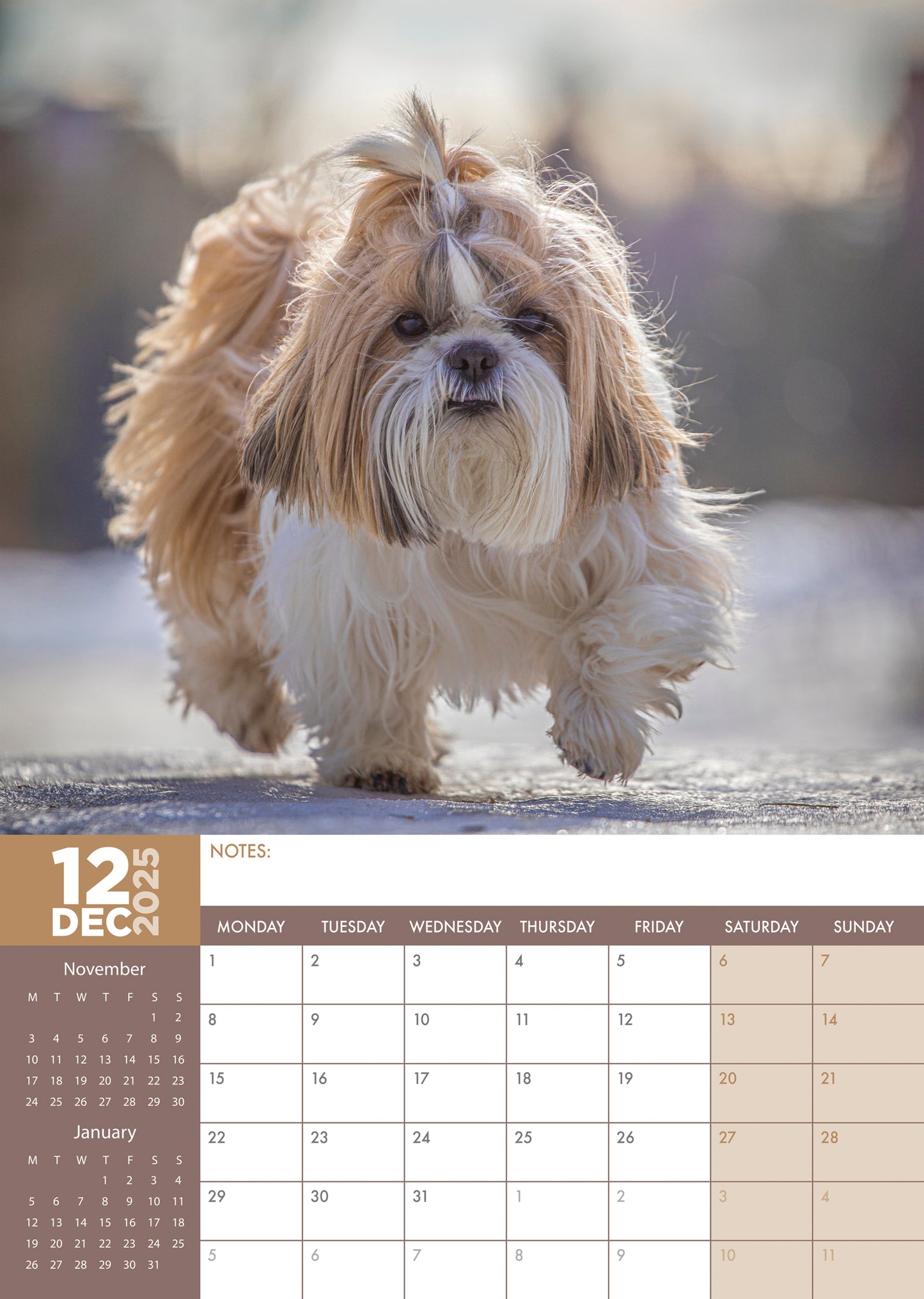 Shih Tzu Calendar 2025