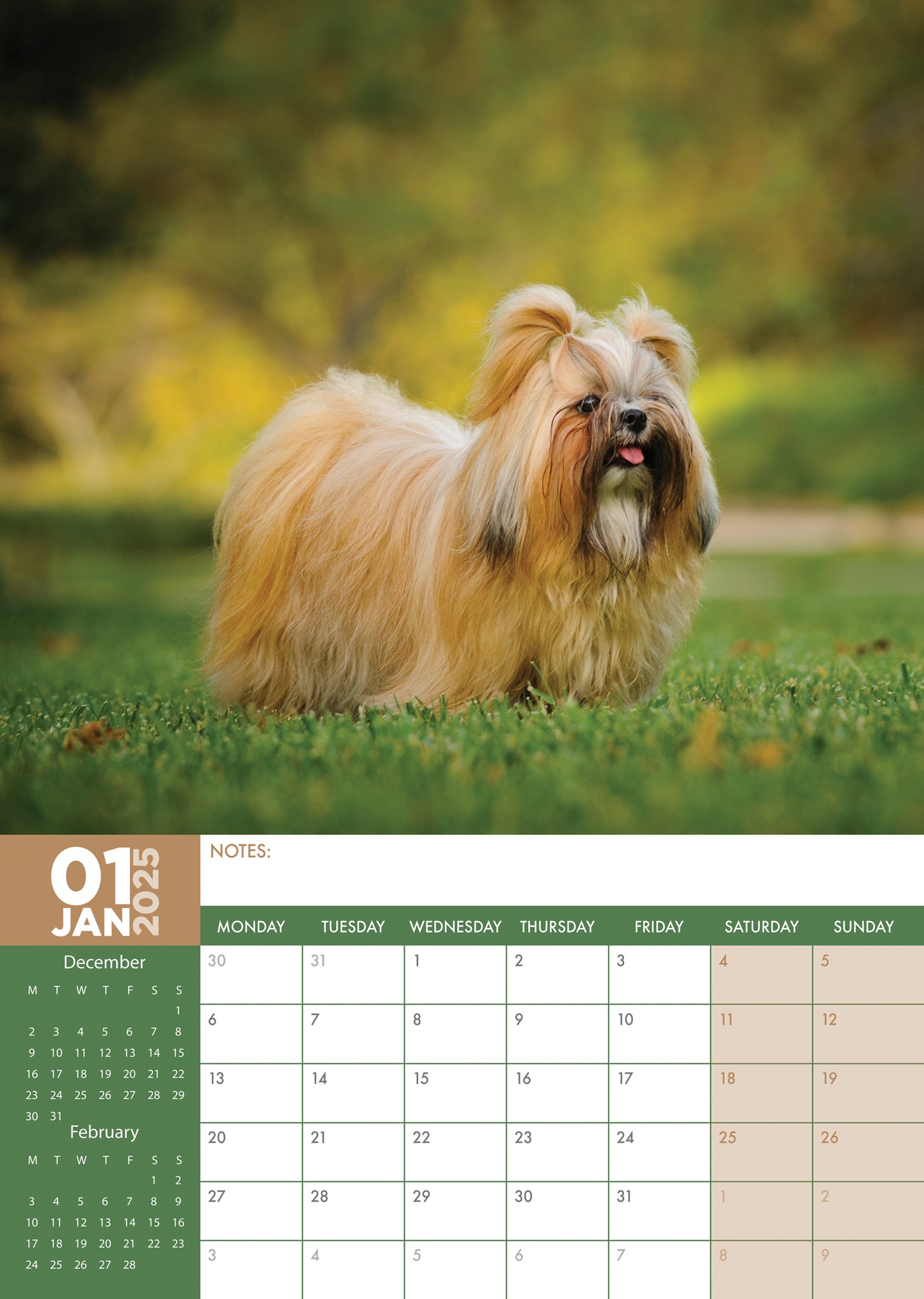 Shih Tzu Calendar 2025