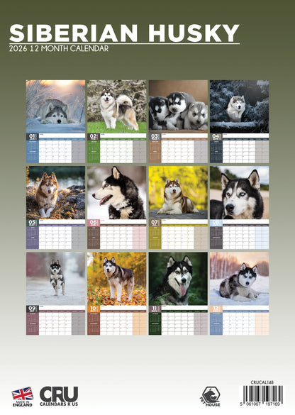 Siberian Husky - A3 Calendar 2026