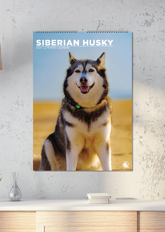 Siberian Husky - A3 Calendar 2027