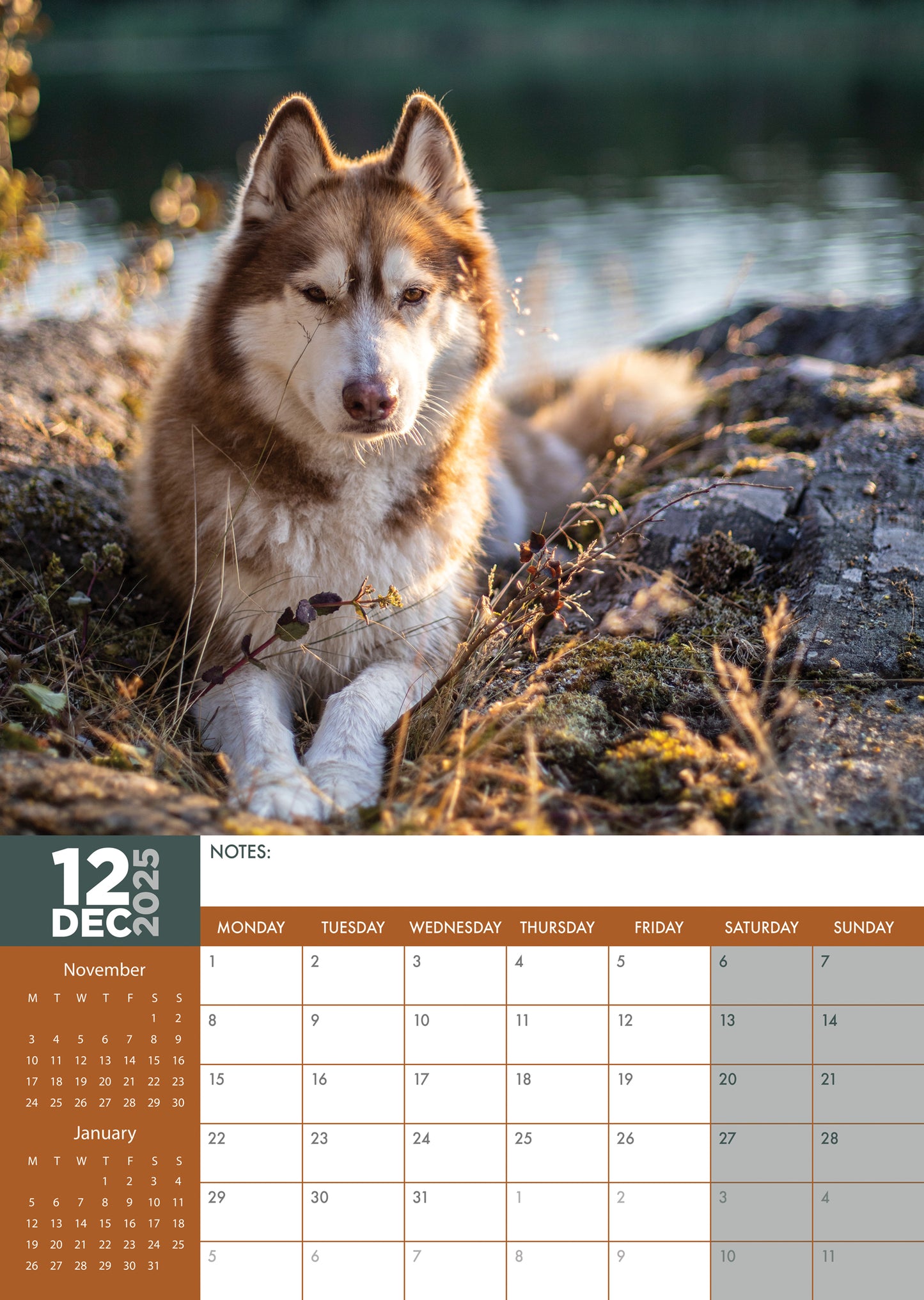 Siberian Husky Calendar 2025