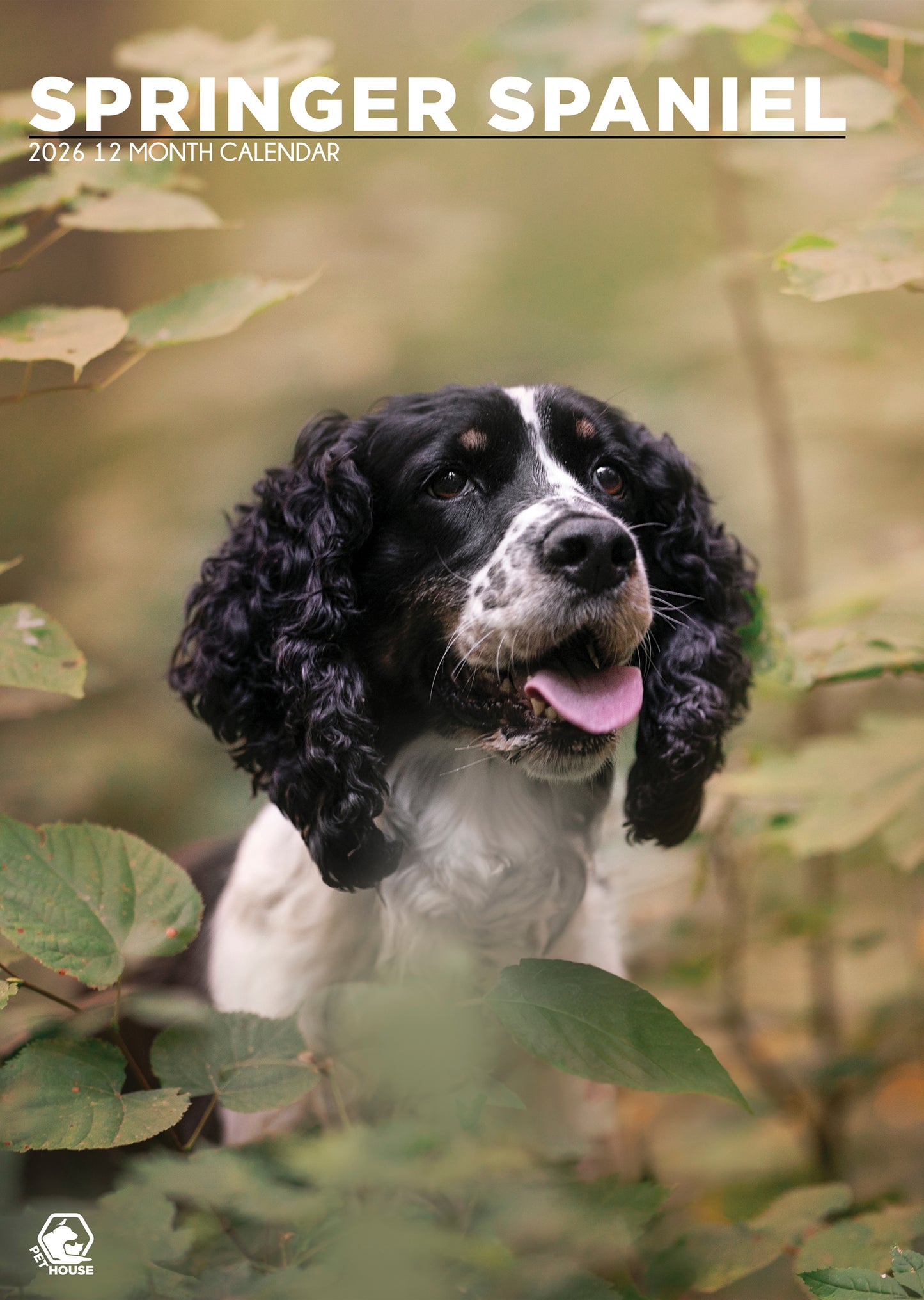 Springer Spaniel - A3 Calendar 2026