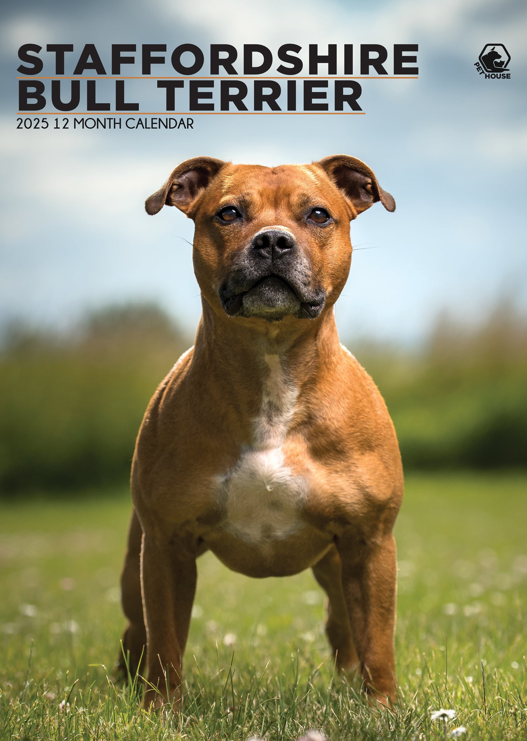 Staffordshire Bull Terrier A3 Calendar 2026 CalendarsRus