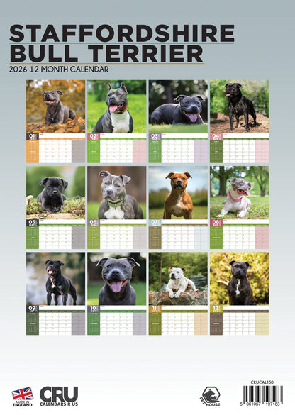 Staffordshire Bull Terrier - A3 Calendar 2026