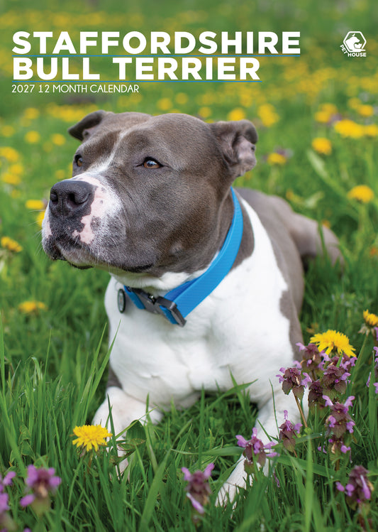 Staffordshire Bull Terrier - A3 Calendar 2027