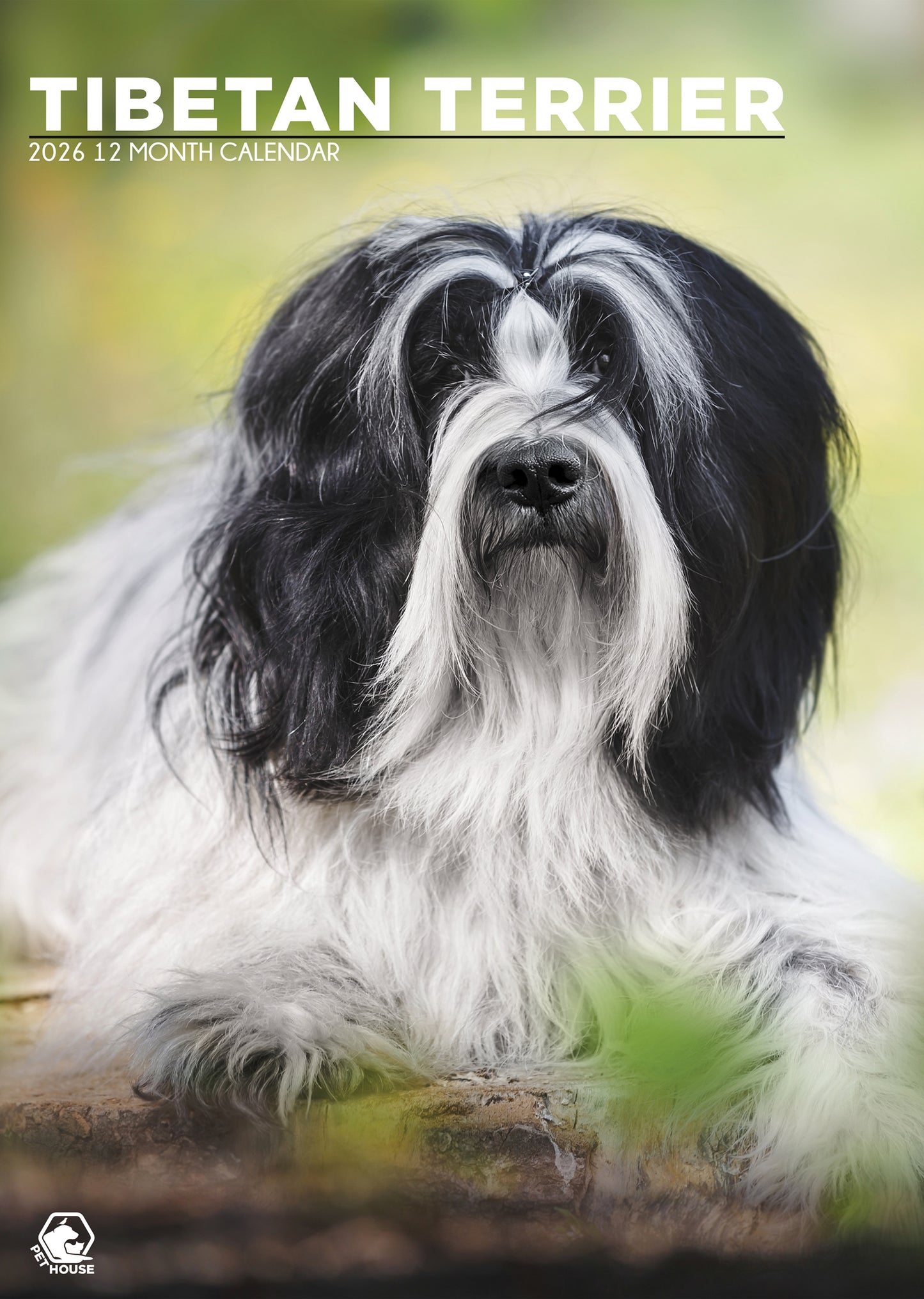 Tibetan Terrier Calendar - A3 Calendar 2026