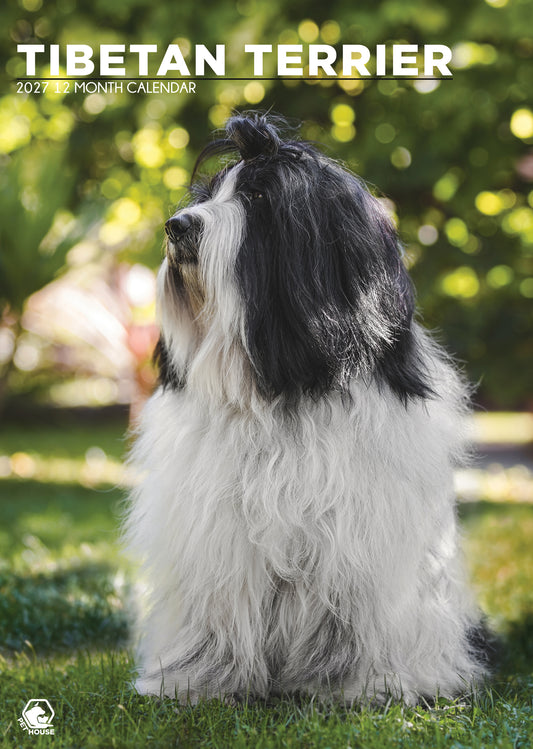Tibetan Terrier Calendar - A3 Calendar 2027