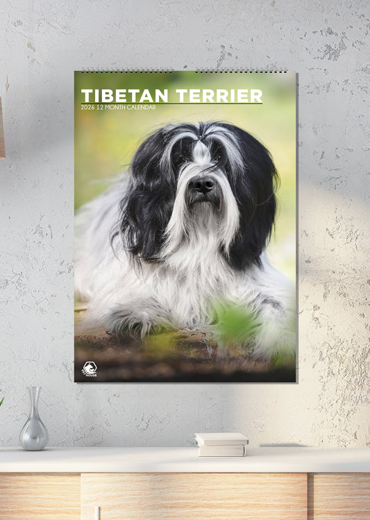 Tibetan Terrier Calendar - A3 Calendar 2026