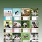 Tibetan Terrier Calendar 2025