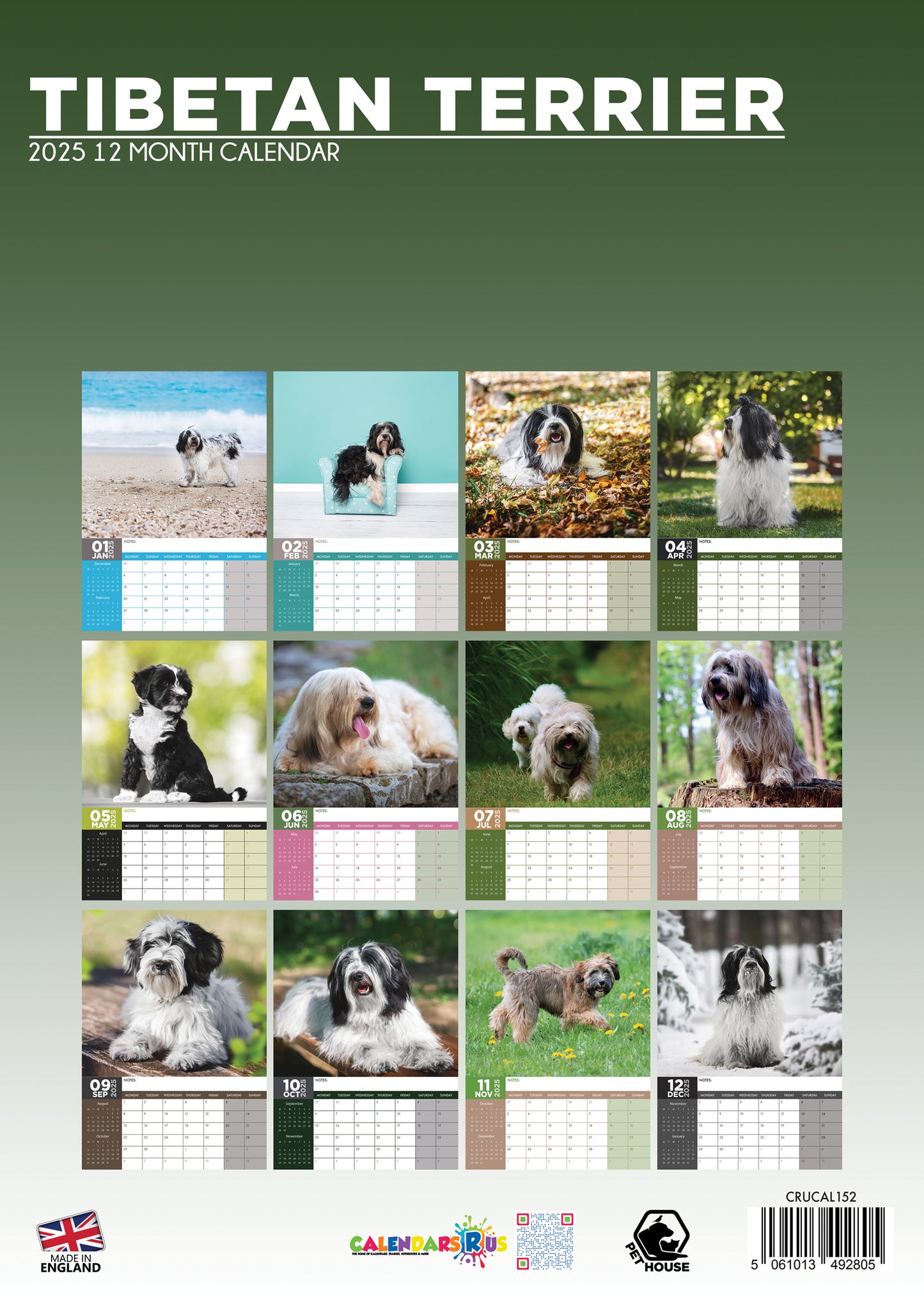 Tibetan Terrier Calendar 2025