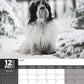 Tibetan Terrier Calendar 2025