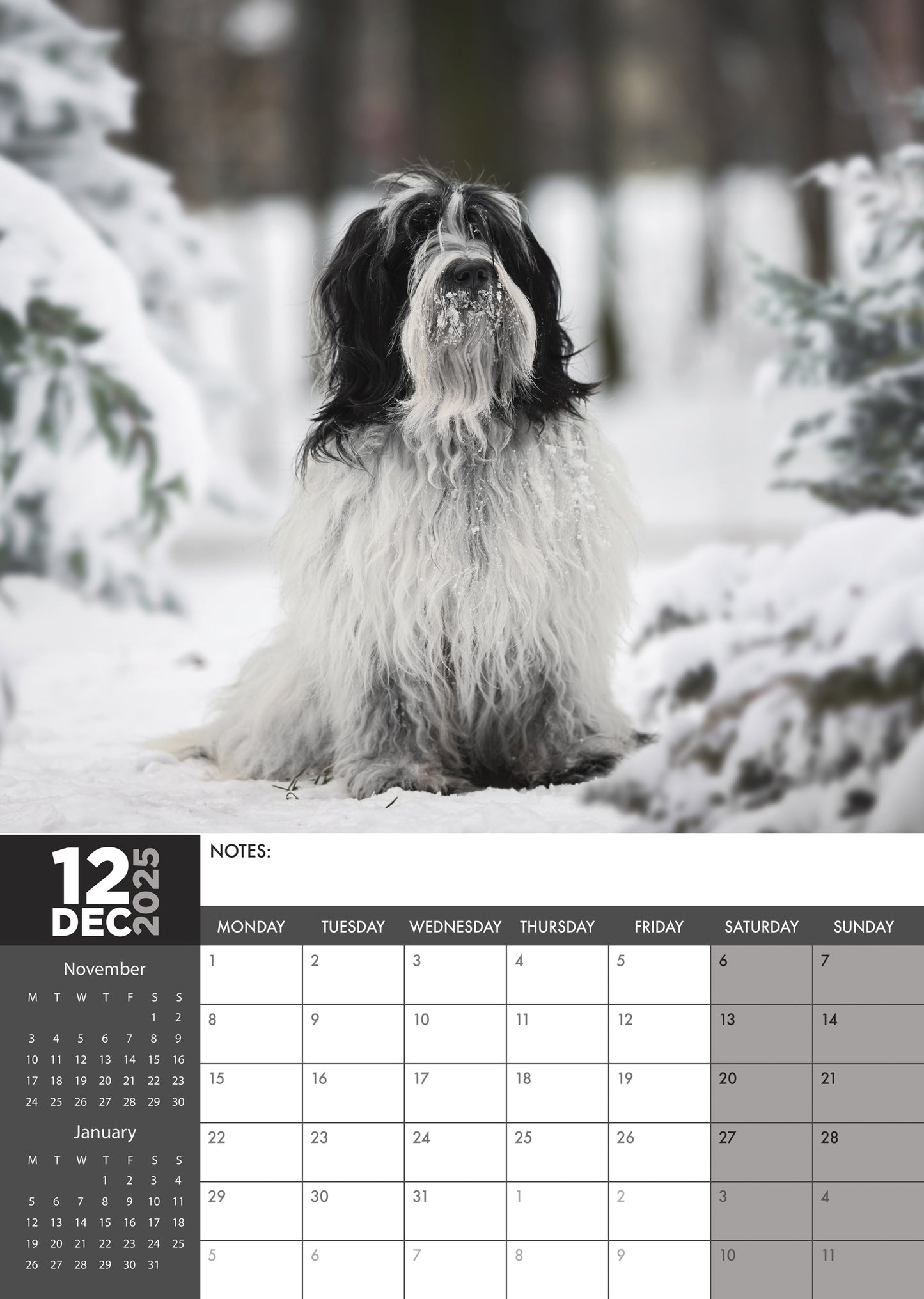 Tibetan Terrier Calendar 2025