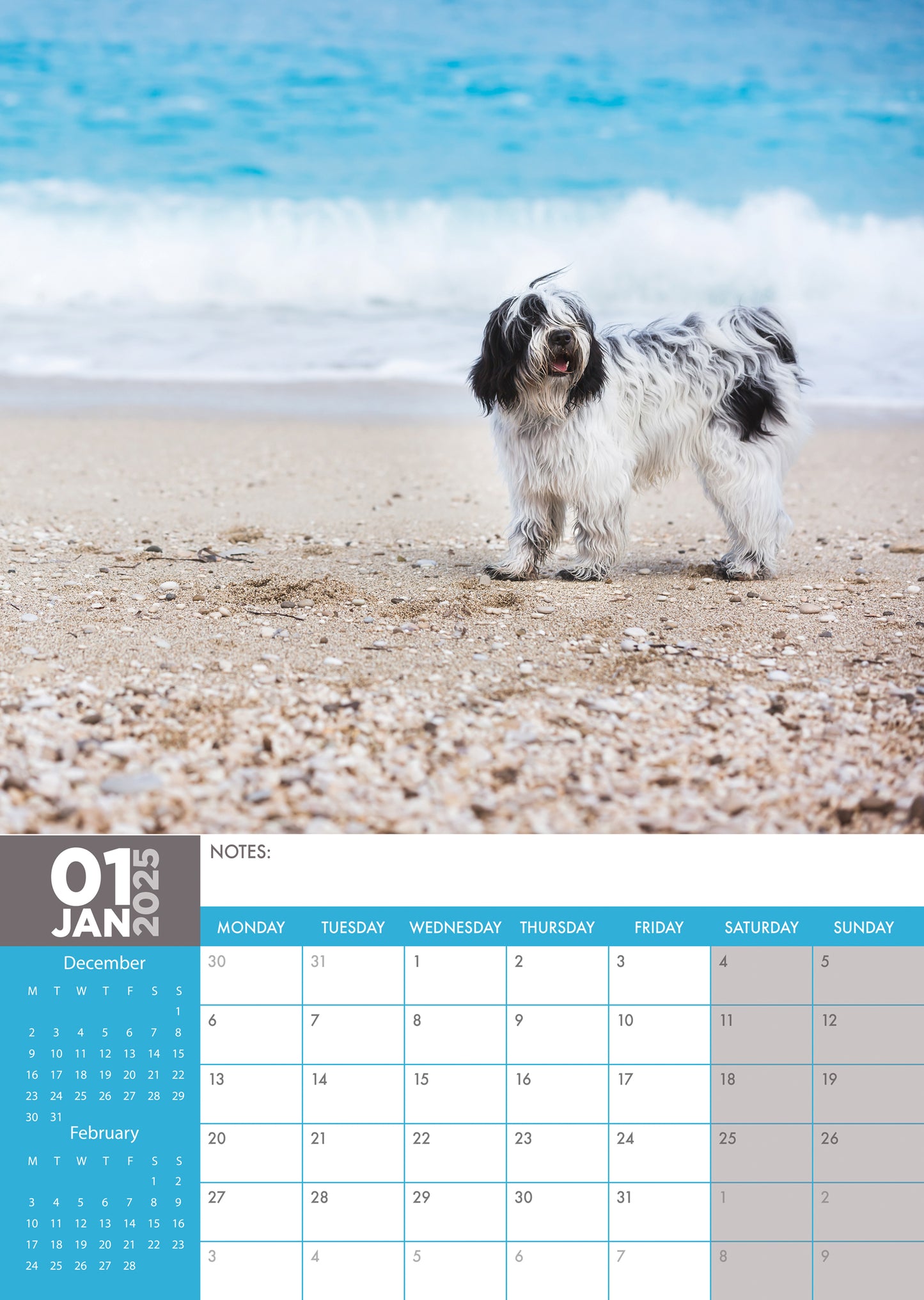 Tibetan Terrier Calendar 2025