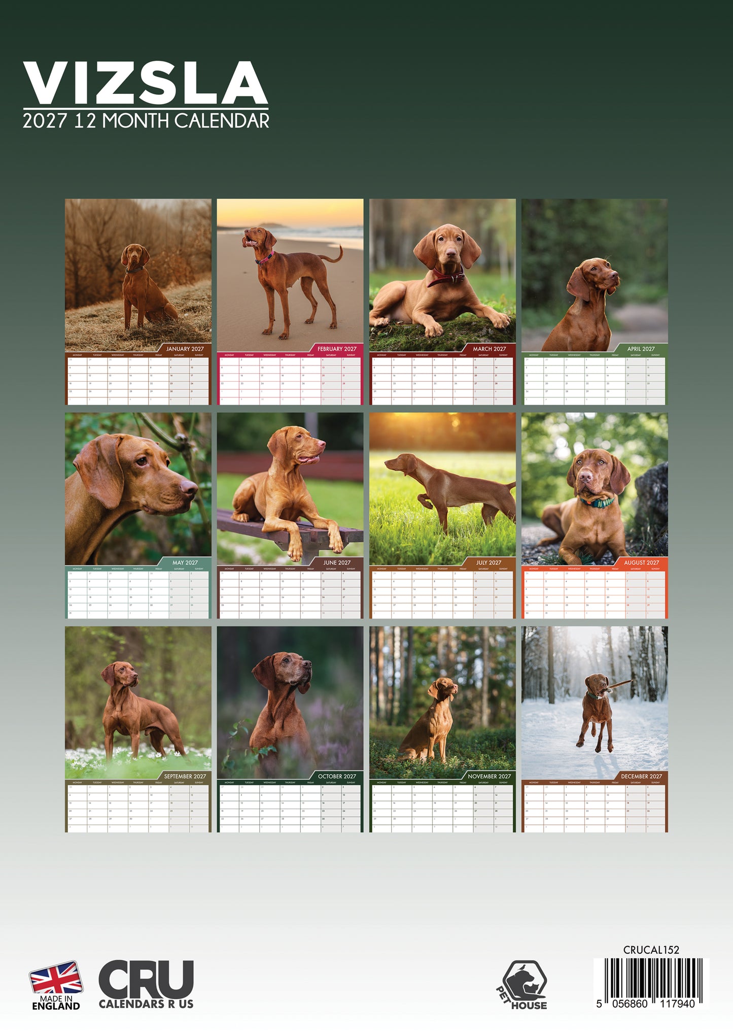 Vizsla Calendar - A3 Calendar 2027