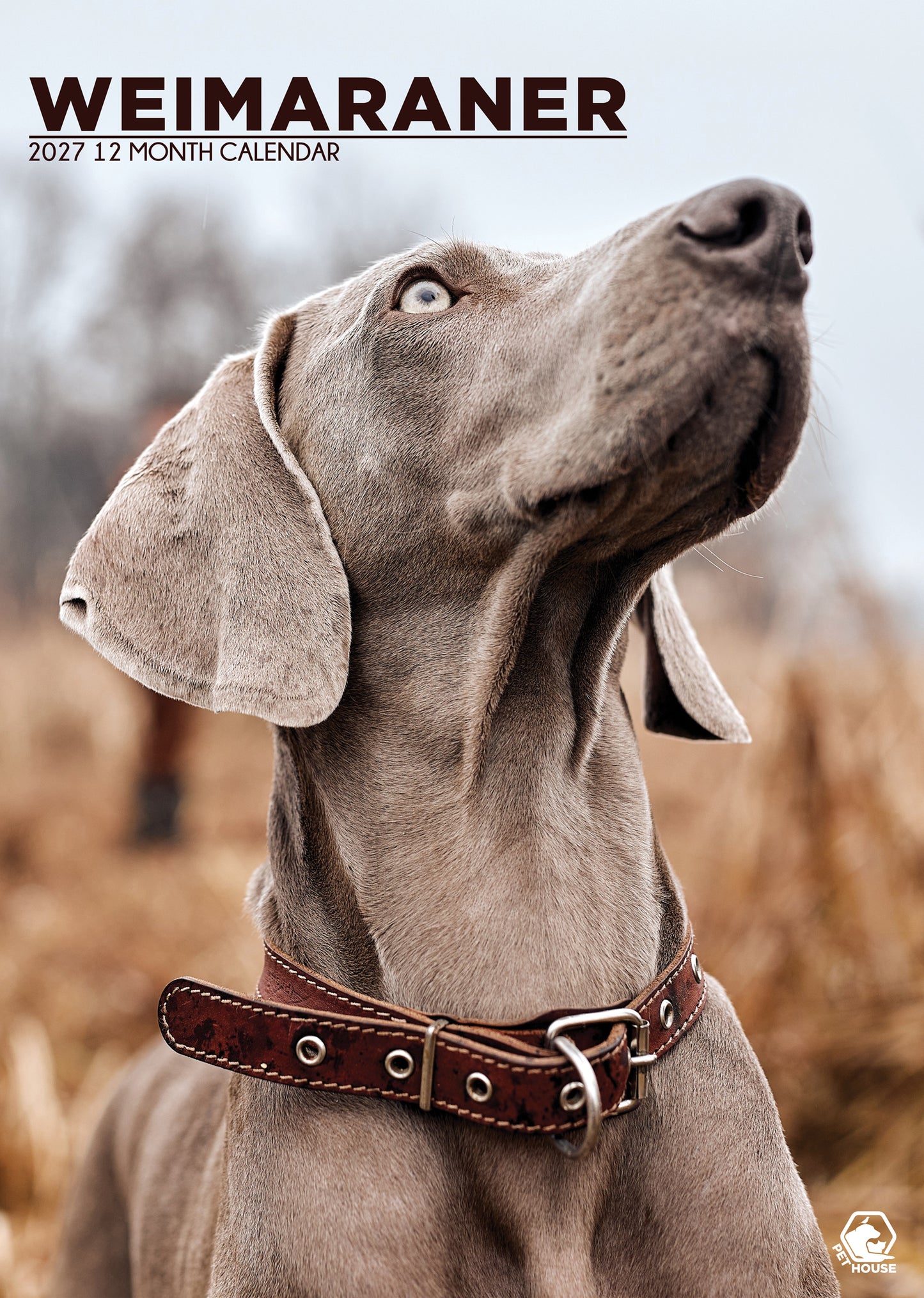 Weimaraner Calendar - A3 Calendar 2027