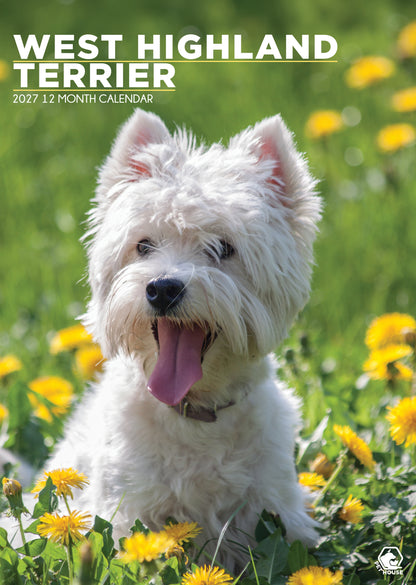 West Highland Terrier - A3 Calendar 2027