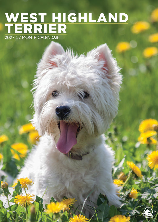 West Highland Terrier - A3 Calendar 2027