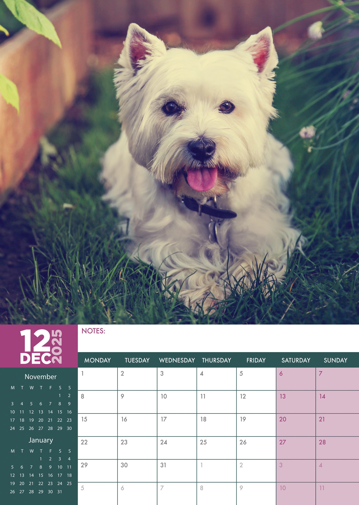 West Highland Terrier Calendar 2025