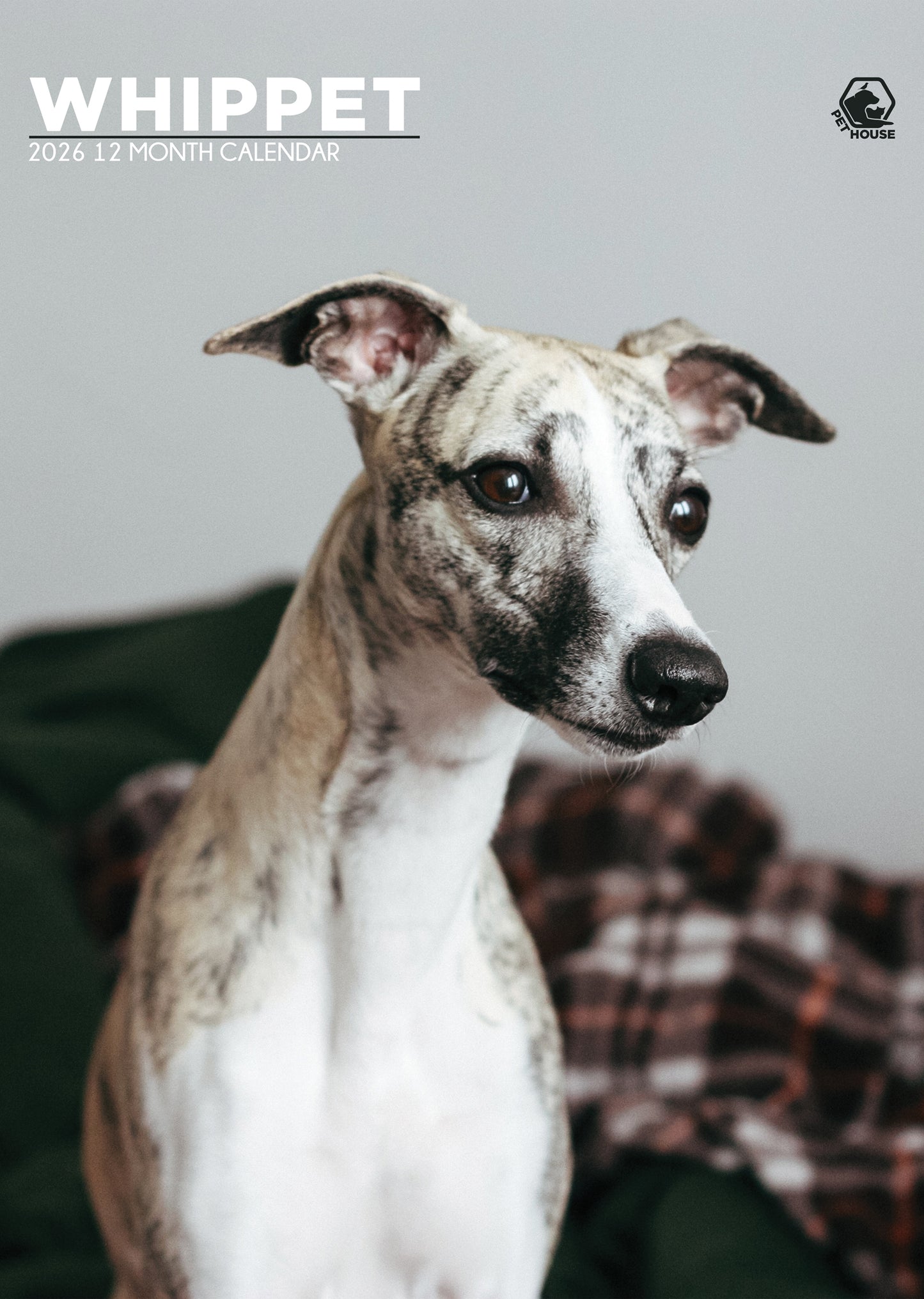 Whippet Calendar - A3 Calendar 2026