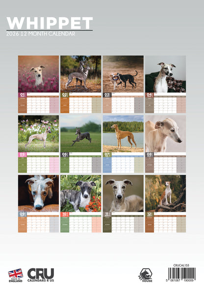 Whippet Calendar - A3 Calendar 2026