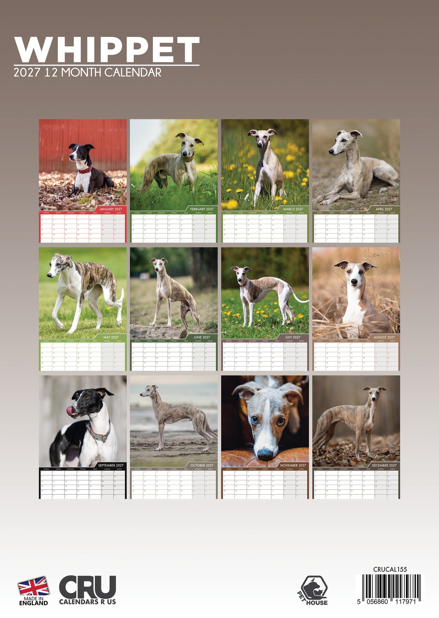 Whippet Calendar - A3 Calendar 2027