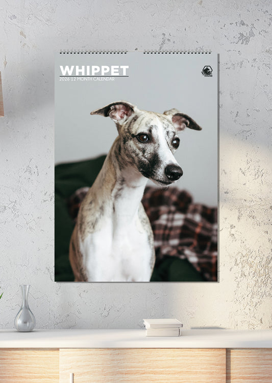 Whippet Calendar - A3 Calendar 2026