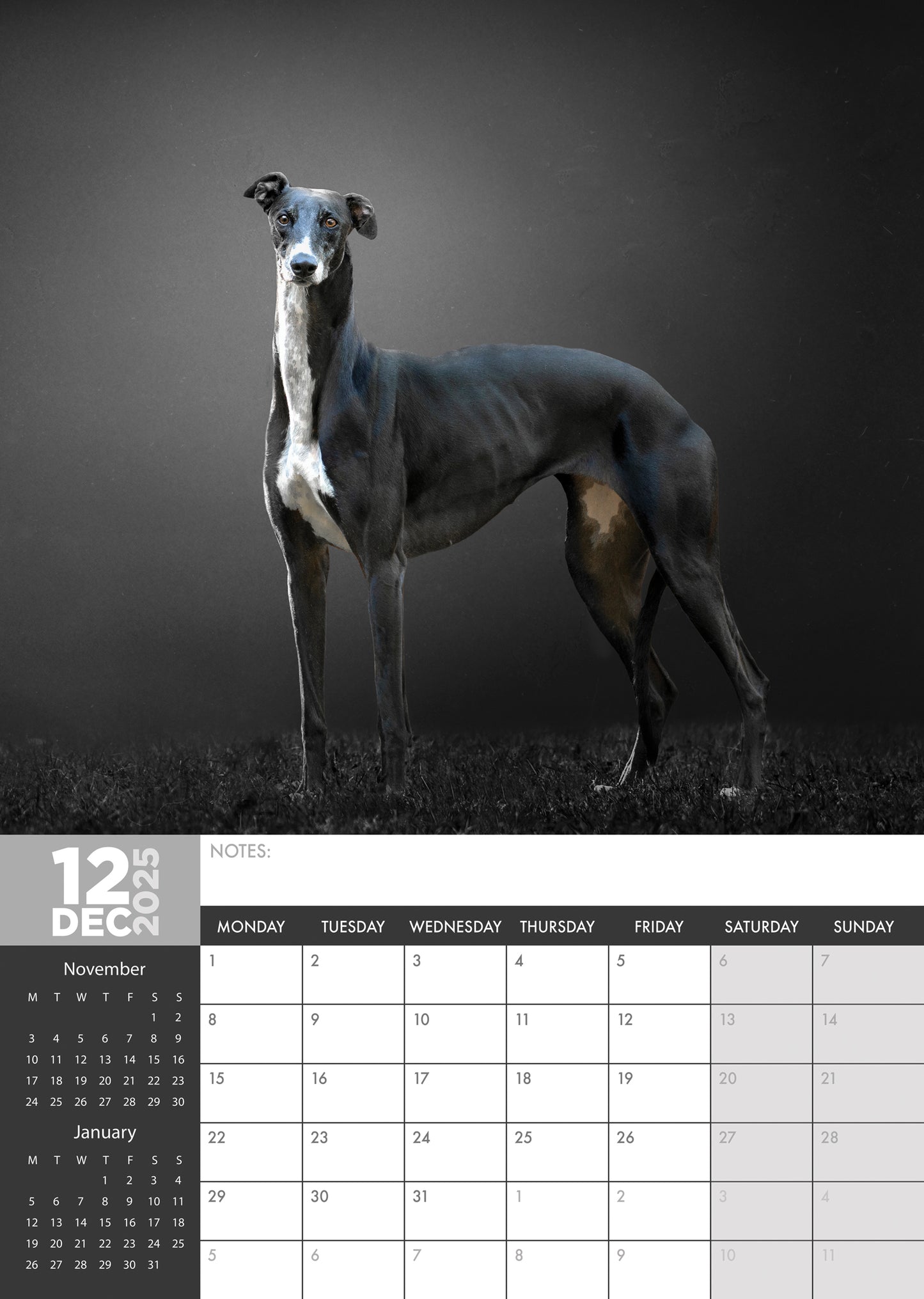 Whippet Calendar 2025
