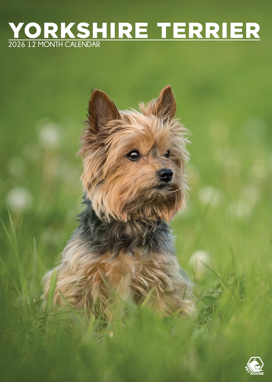 Yorkshire Terrier - A3 Calendar 2026