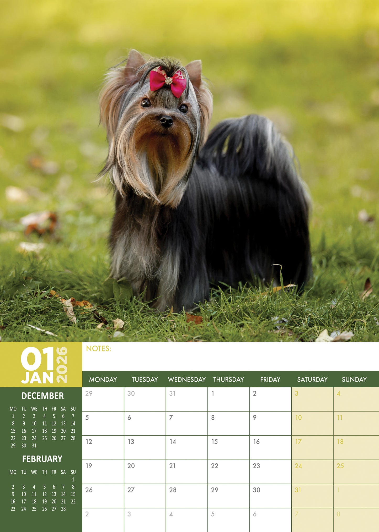 Yorkshire Terrier - A3 Calendar 2026