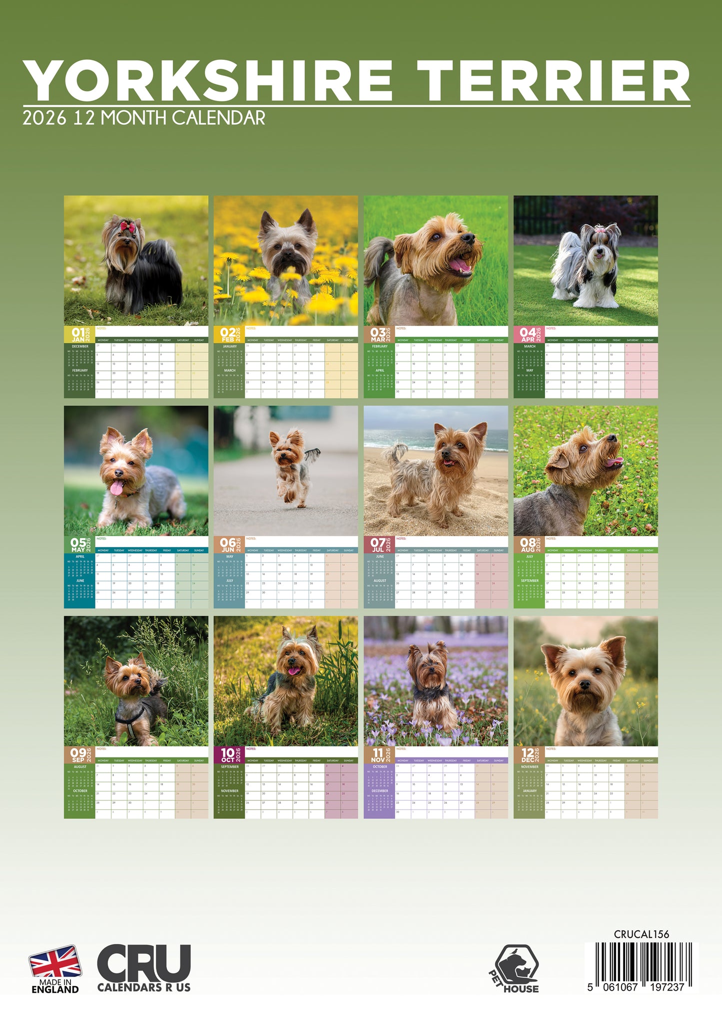 Yorkshire Terrier - A3 Calendar 2026
