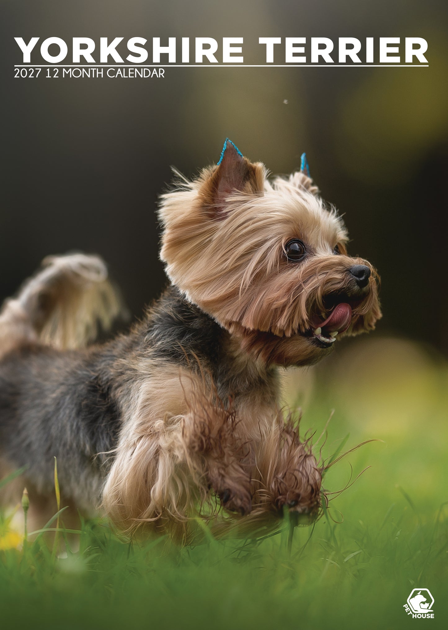 Yorkshire Terrier - A3 Calendar 2027