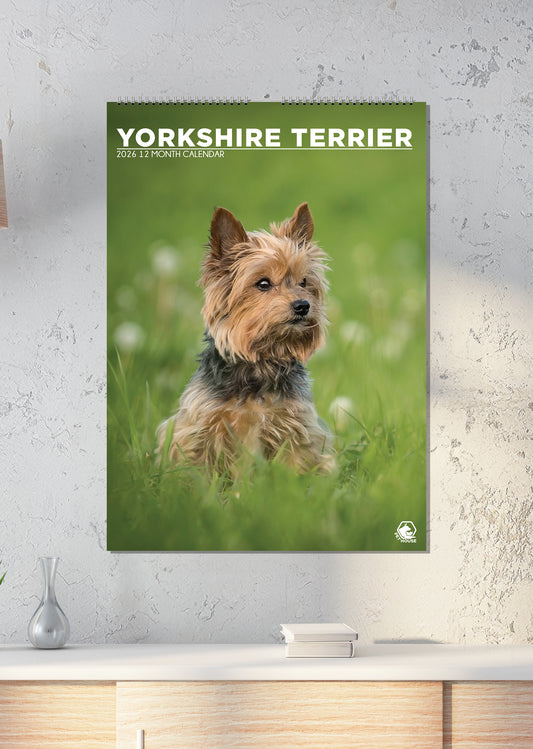 Yorkshire Terrier - A3 Calendar 2026