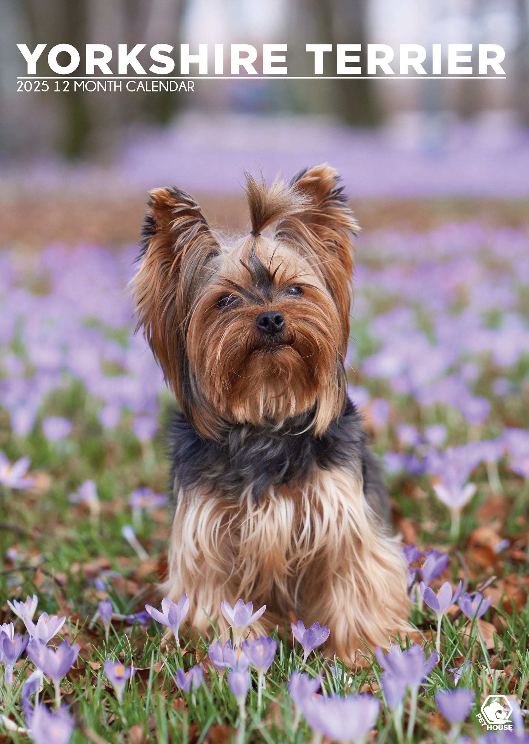 Yorkshire Terrier Calendar 2024 CalendarsRus