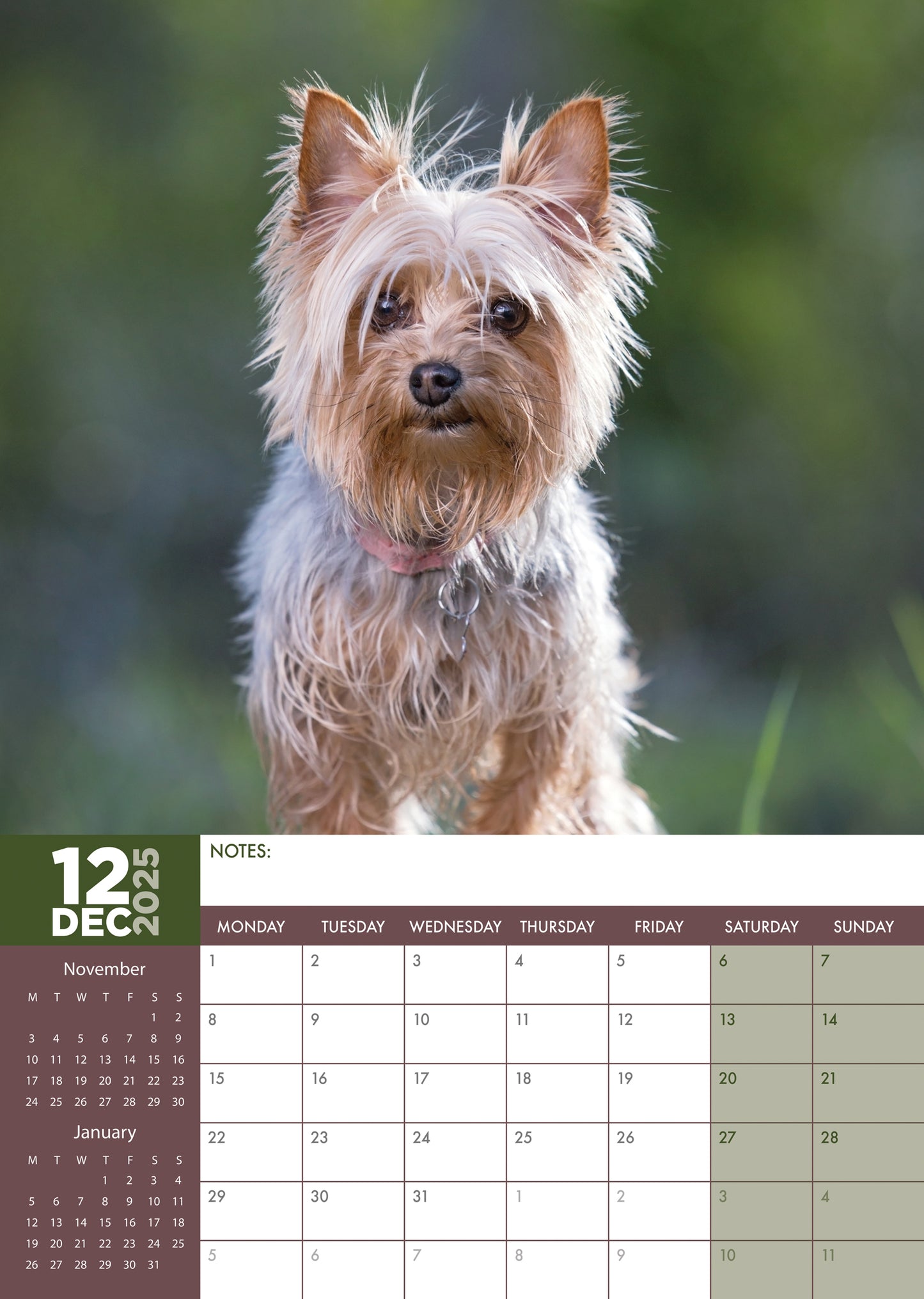 Yorkshire Terrier Calendar 2025