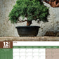 Bonsai Calendar 2025