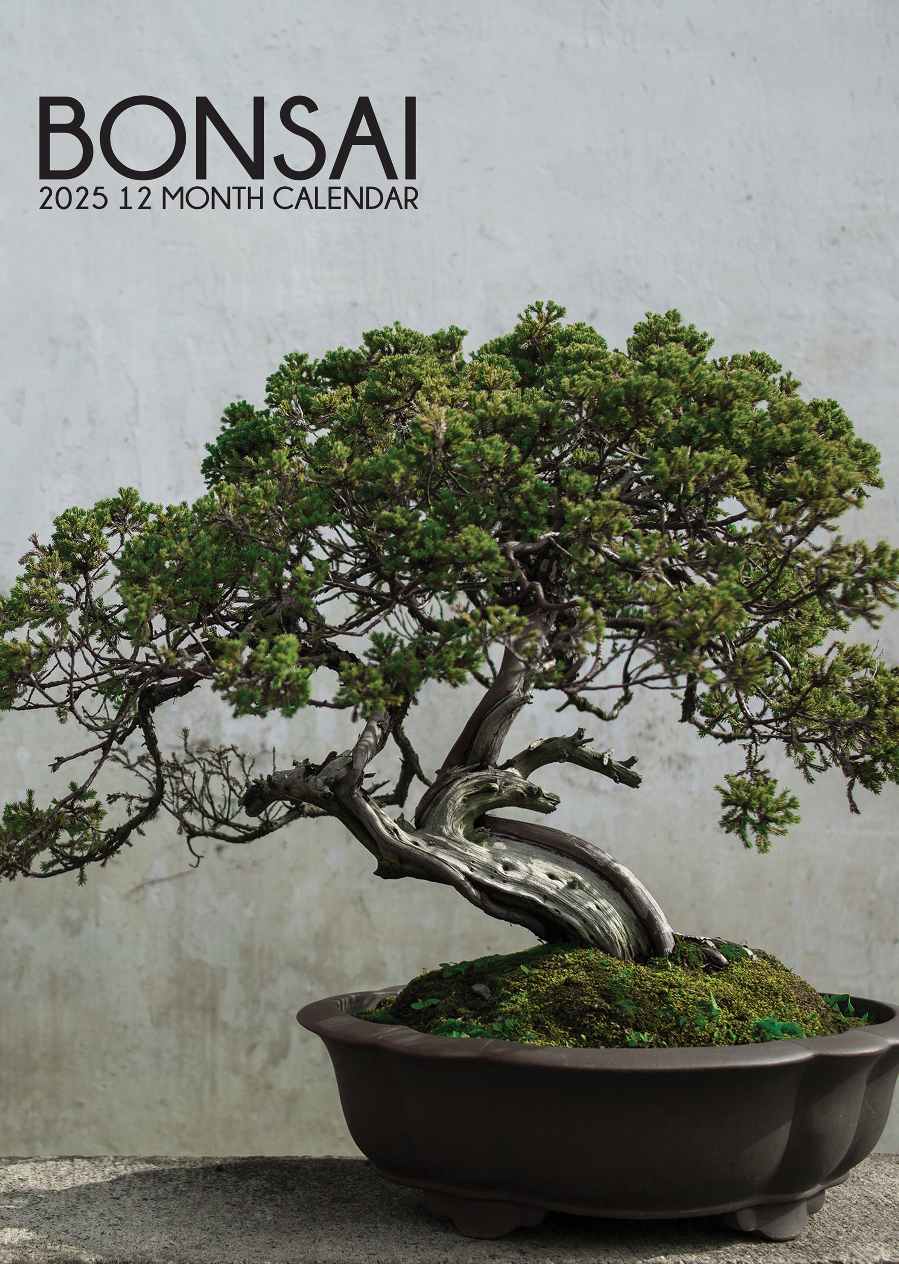 Bonsai Calendar 2025 – CalendarsRus