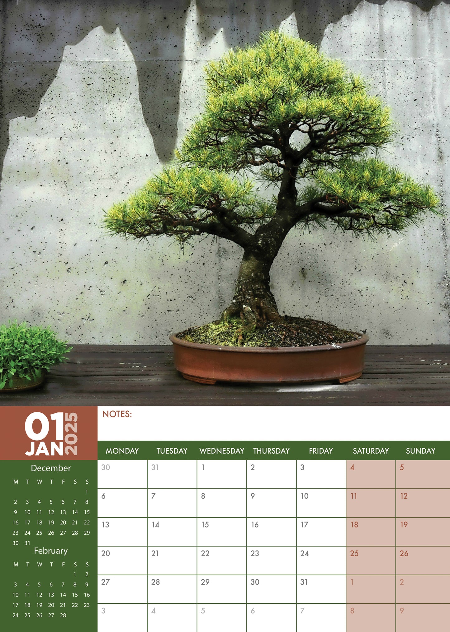 Bonsai Calendar 2025