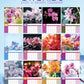 Orchids Calendar 2025