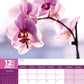 Orchids Calendar 2025