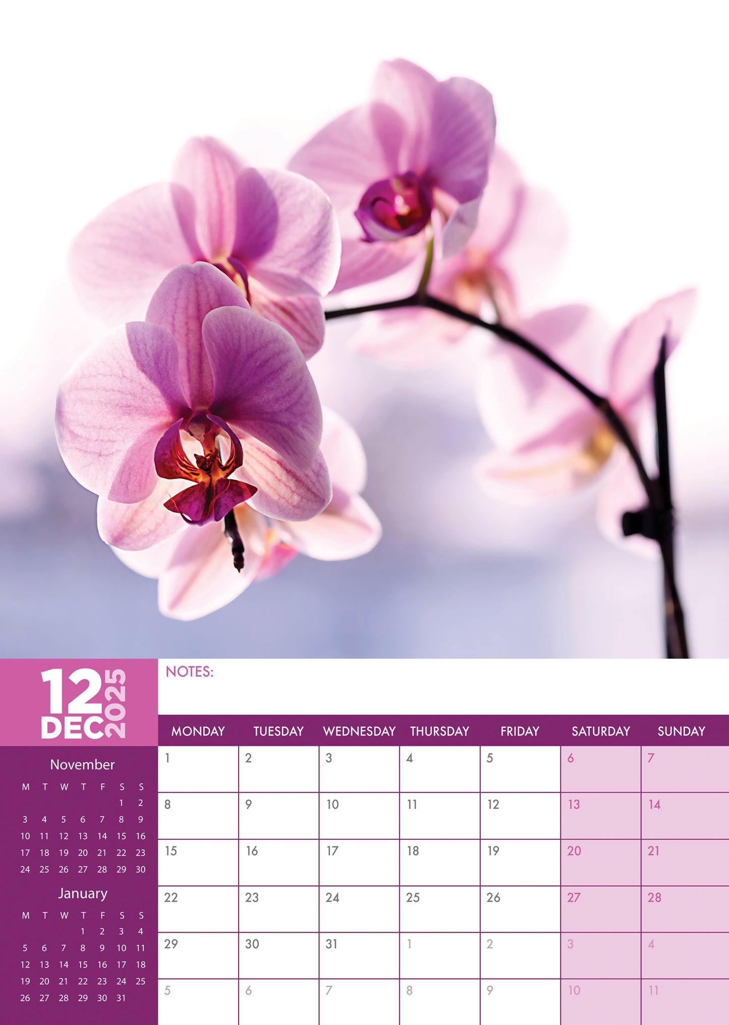 Orchids Calendar 2025