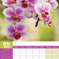 Orchids Calendar 2025