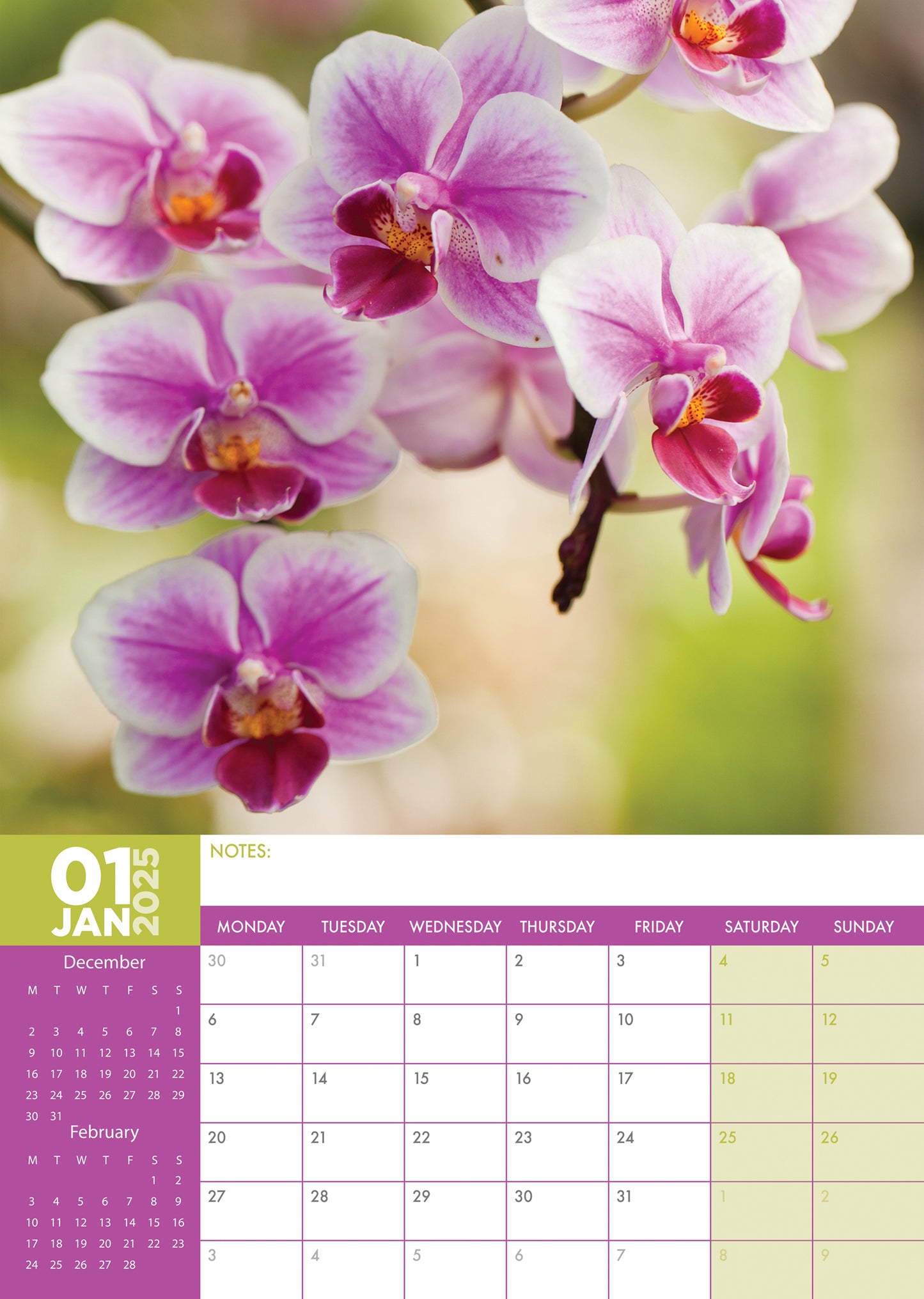 Orchids Calendar 2025